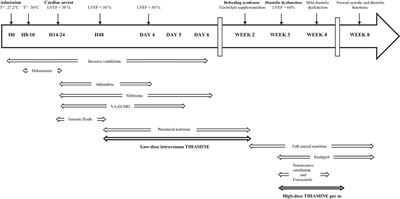 Shoshin Beriberi and Severe Accidental Hypothermia as Causes of Heart Failure in a 6-Year-Old Child: A Case Report and Brief Review of Literature